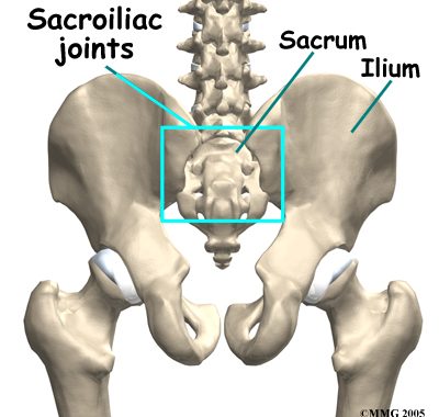 Sacroiliac Joints